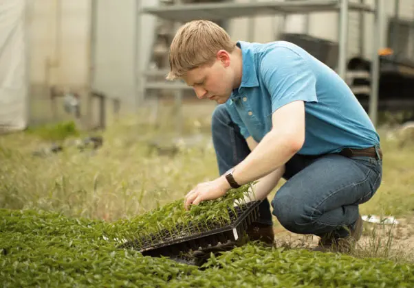 Criminal Justice and Community Services image 1 (name farming)