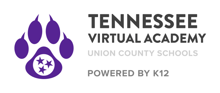 Escuelas en línea de Tennessee imagen 5 (nombre 5247 1)