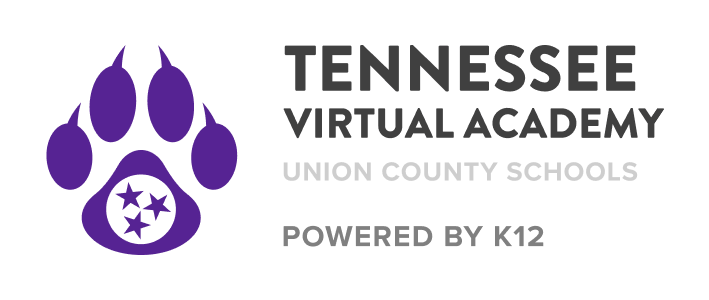 Logotipo de Tennessee virtual Academy