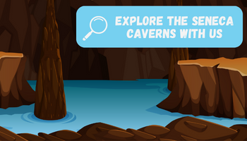Seneca Caverns Field Trip