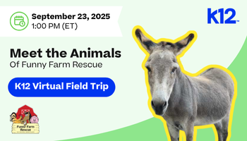 Conoce a los animales de Funny Farm