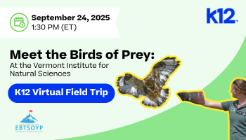 Meet the Birds of Prey at VINS