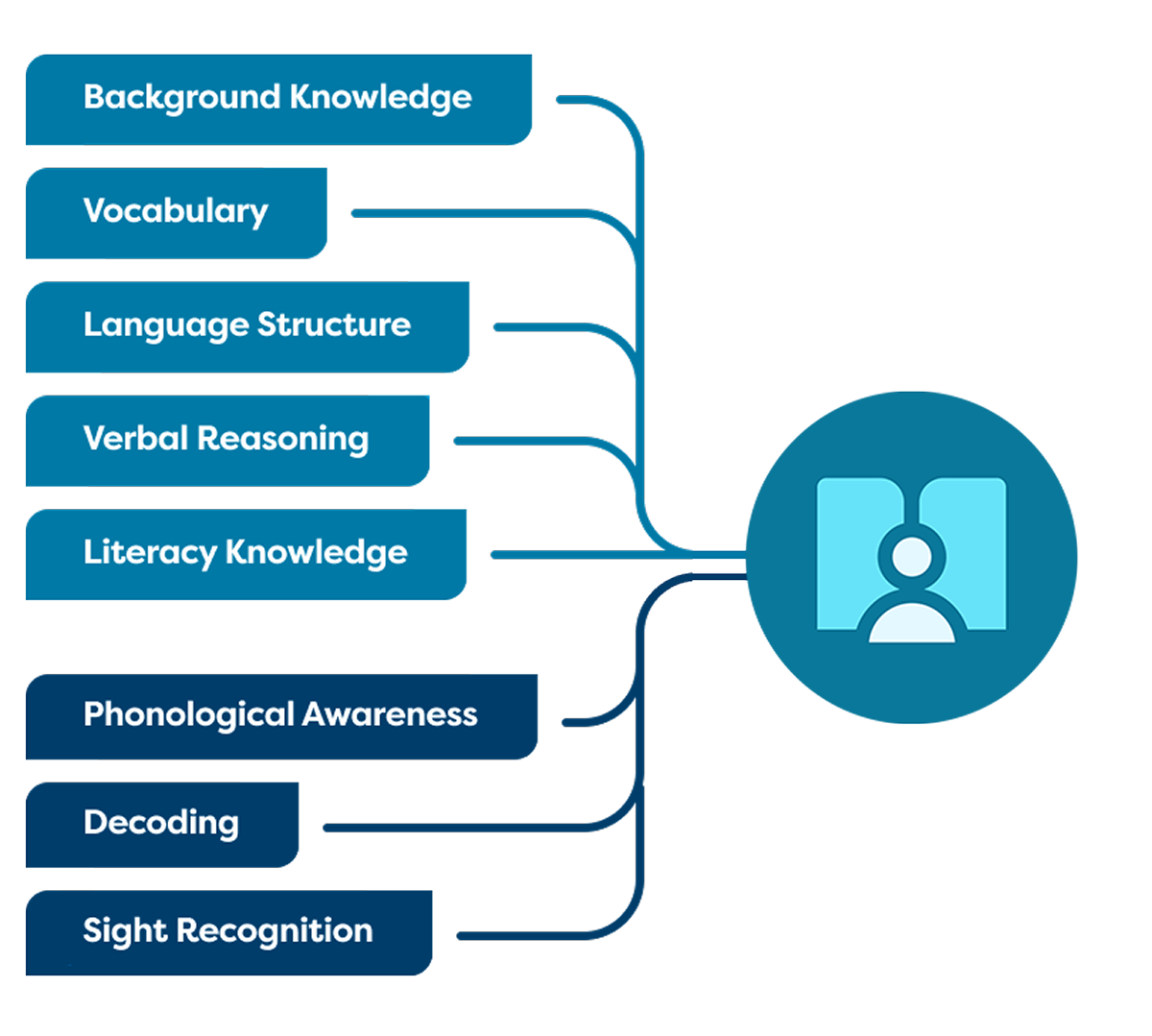 Diagram showing elements of literacy: background knowledge, vocabulary, language structure, verbal reasoning, literacy knowledge, phonological awareness, decoding, and sight recognition, all connecting to a central icon of a person reading.