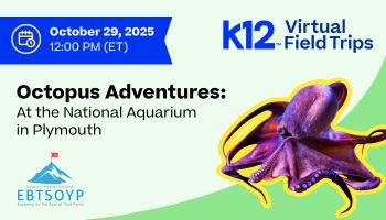 Octopus Adventures at the National Aquarium in Plymouth