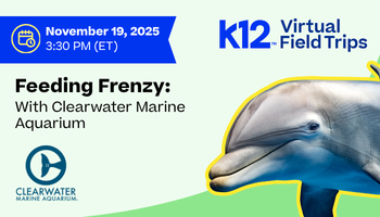 Feeding Frenzy at Clearwater Marine Aquarium!