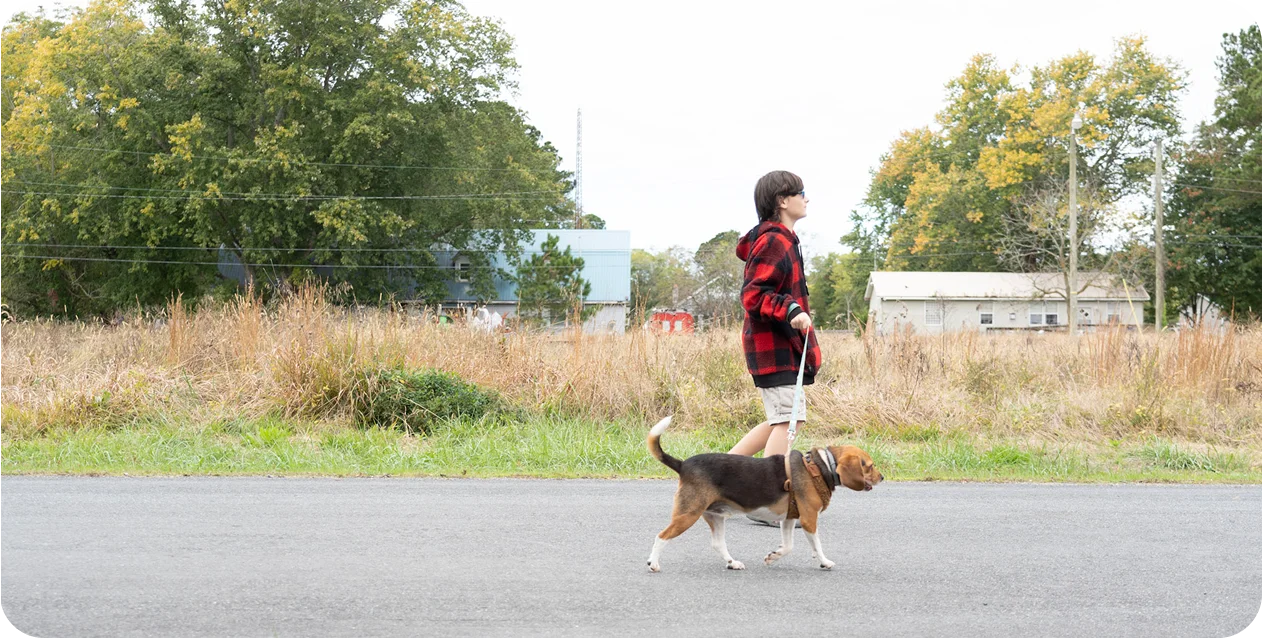 A person wearing a red and black plaid shirt walks a beagle on a leash along a rural road. The background features tall grass and trees with a cloudy sky.