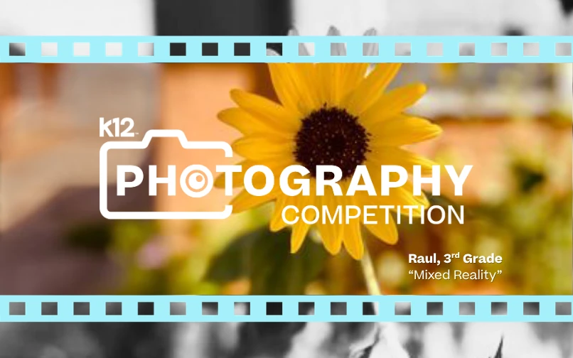 Summer Photography Tips for Students