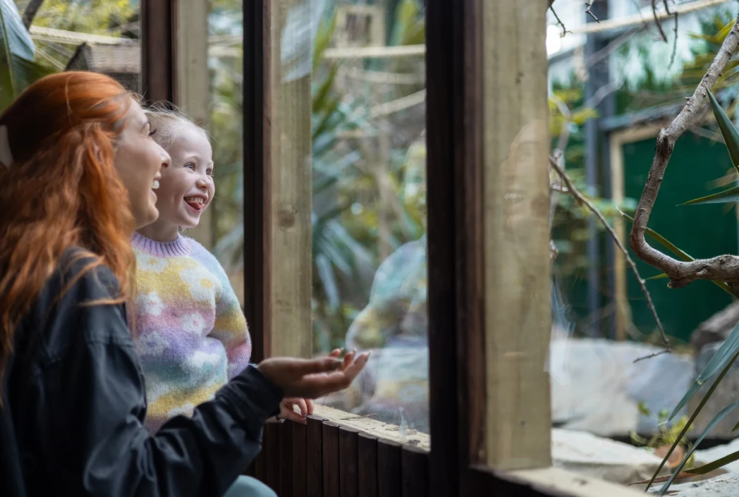 Family exploring an educational exhibit together, encouraging curiosity, learning, and discovery through hands-on experiences.